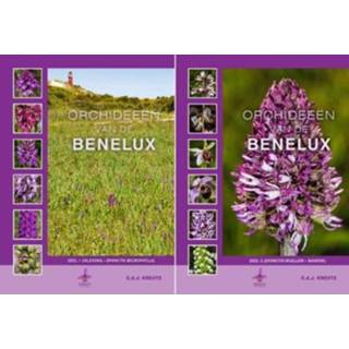 👉 Orchidee Orchideeën Van De Benelux - C.A.J. Kreutz 9789080662681