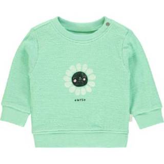 👉 Sweatshirt groen meisjes Noppies Pecos Vogeleieren Ei 8719788219741