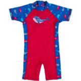 DIMO-TEX  Surfpak Walvis Blauw - Gr.104 - Meisjes