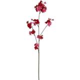 👉 Magenta Appelbloesem Fuchsia 90 cm
