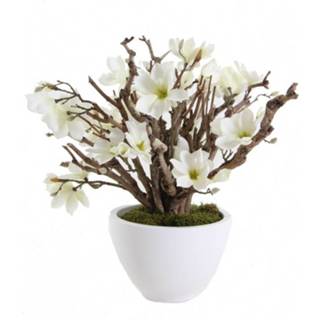 👉 Wit Bloemen Decoratie Magnolia 60cm