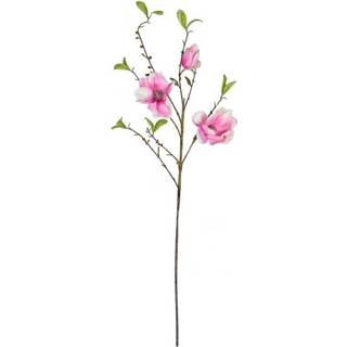 👉 Roze Magnolia 60 cm