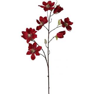 👉 Rood Magnolia 75 cm