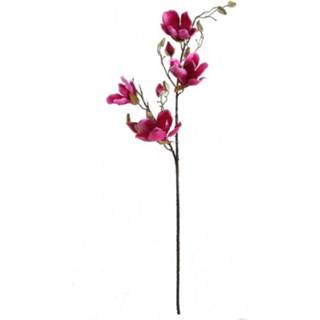 👉 Magenta Magnolia Fuchsia, 90 cm