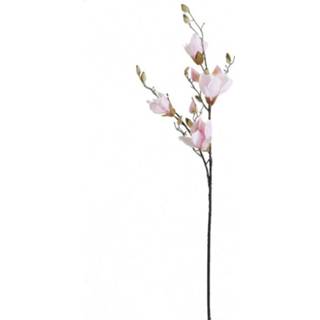 👉 Roze Magnolia Soft Roze, 90 cm