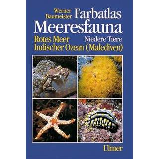 👉 Farbatlas Meeresfauna. Rotes Meer, Indischer Ozean (Malediven) / Niedere Tiere 9783800172658