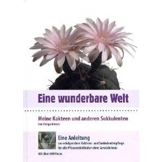 👉 Eine wunderbare Welt 9783000250354