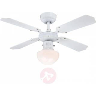 👉 Staal a++ westinghouse wit Portland Ambiance ventilator