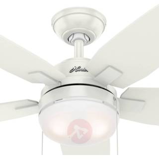 👉 A++ hunter geborsteld nikkel grijs wit metaal Arcot ventilator m. licht, wit/grijs