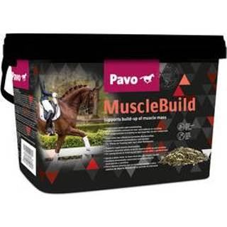 👉 Pavo MuscleBuild 3 kg. 8714765003511 8714765901596