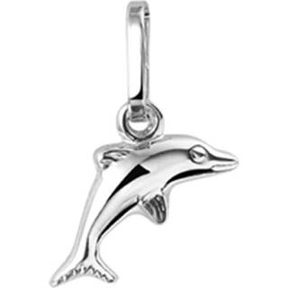 👉 Dolfijnhanger zilver kind active Gepolijste Dolfijn Hanger van Gerhodineerd