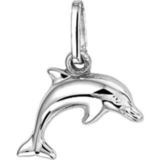 👉 Dolfijnhanger zilver kind Glanzende Dolfijn Hanger van Gerhodineerd