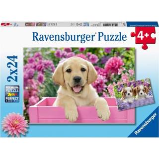 👉 Puzzel Ravensburger Dierenfoto 2x24 stukjes 4005556050291