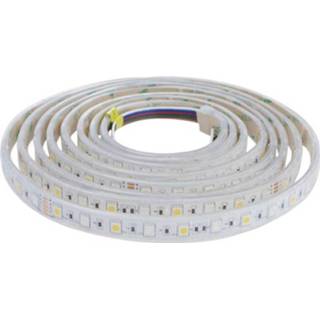 👉 HOLSEASYRBBWI1 LED-strip complete set Met stekker 24 V 300 cm RGBW