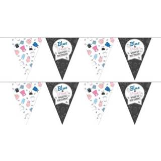 👉 Vlaggenlijn 2x Vlaggenlijnen gender reveal party/feest slingers 10 meter