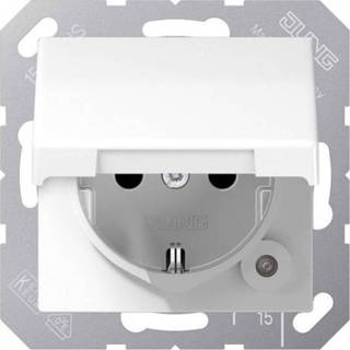 👉 Wandcontactdos wit Wandcontactdoos met randaarde Jung AS1520KIKLWW 1-voudig Inzetstuk Alpine-wit 4011377124196