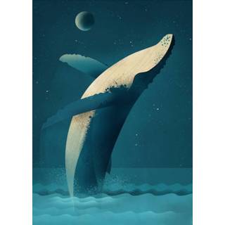 👉 Poster Dieter Braun humpback whale 50 x 70 cm