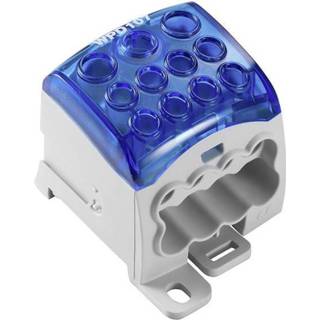 👉 Grijs blauw Faseverdelerblok Weidmüller WPD 107 1X95/2X35+8X25 BL 2521730000 Grijs, 1 stuks 4050118534245