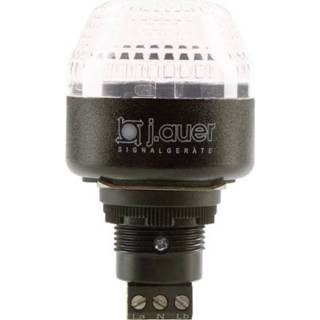 👉 Auer Signalgeräte IBM Signaallamp LED Helder Continu licht, Knipperlicht 24 V/DC, 24 V/AC