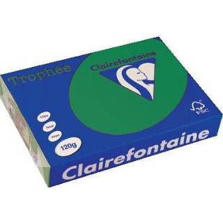👉 Clairefontaine Trophée Intens A4, 120 g, 250 vel, dennengroen 3329680122404