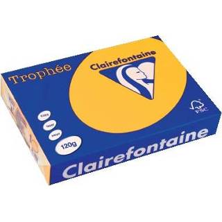 👉 Clairefontaine Trophée Intens A4, 120 g, 250 vel, zonnebloemgeel 3329680125702