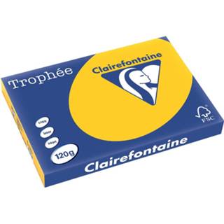 👉 Clairefontaine Trophée Intens A3, 120 g, 250 vel, zonnebloemgeel 3329680136104