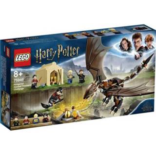 👉 LEGOÂ® HARRY POTTERâ