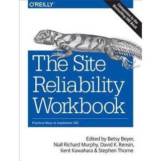 👉 The Site Reliability Workbook 9781492029502