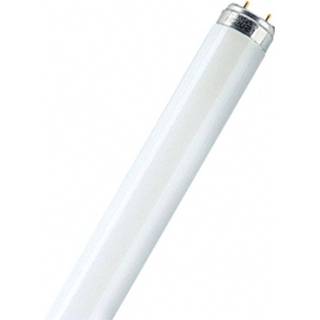 👉 OSRAM TL-lamp Energielabel: A++ (A++ - E) G13 36 W N/A Buis 1 stuk(s)