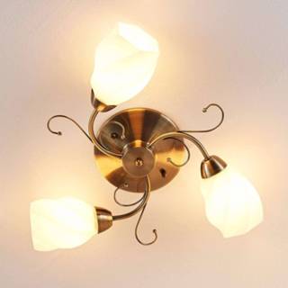 👉 Plafondlamp Romantisch ontworpen Amedea