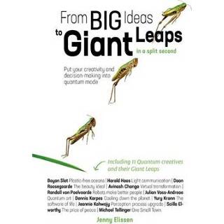 👉 Boek From Big Ideas to Giant Leaps in a split second - Jenny Elissen (9492107155) 9789492107152