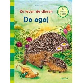 👉 Boek De egel - Friederun Reichenstetter (904475419X) 9789044754193