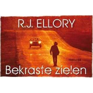👉 Boek Bekraste zielen - R.J. Ellory (9049804764) 9789049804763