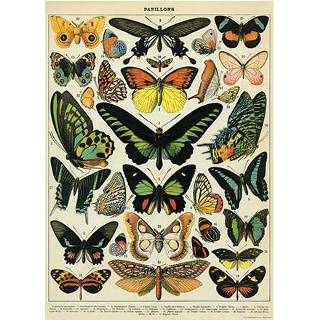 👉 Vintage poster Cavallini Co Butterflies 9781574898446
