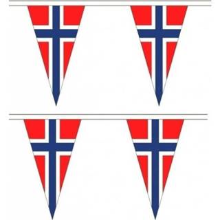 👉 2x Noorwegen landen punt vlaggetjes 5 meter