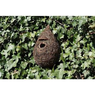 👉 Vogelhuisje riet active Roost