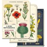 👉 Notitieboek Cavallini Co Notitieboekjes Wildflowers Mini Set 9781635443752