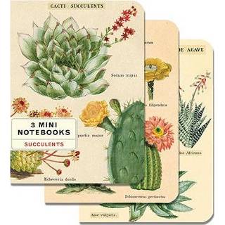 👉 Notitieboek Cavallini Co Notitieboekjes Succulents Mini Set 9781635441123