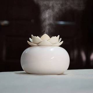 👉 Luchtreiniger witte wit keramische keramiek Lotus Nano spray HYDRATING aroma bevochtiger (witte bloem + lichaam keramiek) 8006405302017