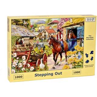 👉 Puzzel Stepping Out 1000 stukjes 5060002004715