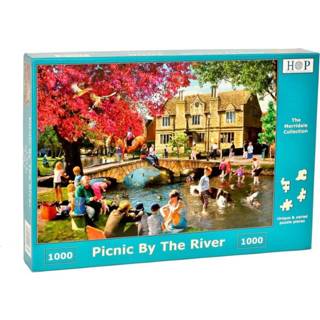 👉 Puzzel Picnic by the River 1000 stukjes 5060002004685