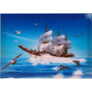 Poster meisjes 3-d boot-
