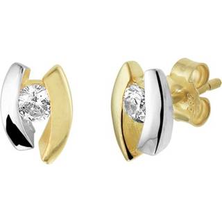 👉 Gouden Oorknoppen met Kleurloze Zirkonia