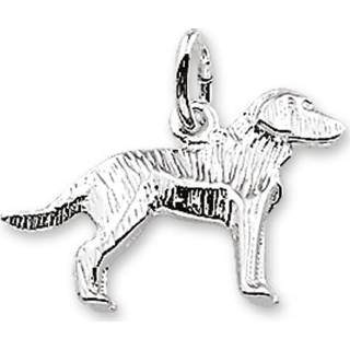 👉 Labrador Bedel van Zilver 10.03650