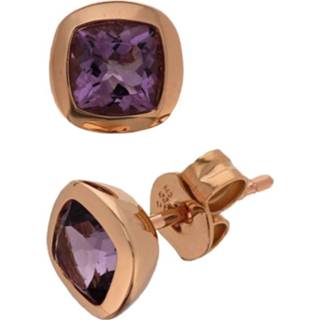 👉 Oorknop rosgoud active Amethist Oorknoppen van Gepolijst Roségoud