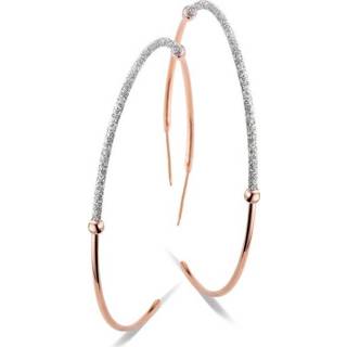 👉 Zilveren Oorstekers met Glitters van New BLiNG