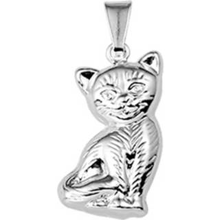 👉 Hanger zilver active Zittende Kat van 10.16706