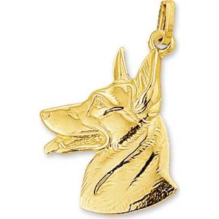 👉 Bedel goud active mannen Herdershond Kop van 40.09325