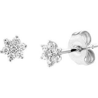 👉 Oorknop diamant witgoud active 0.14 ct Ster Oorknoppen van Gepolijst