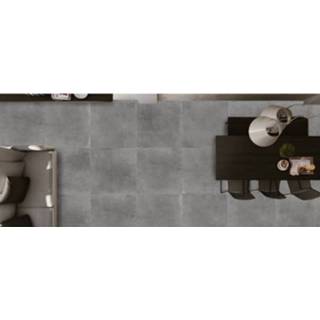 👉 Vloertegel grijs active CTC Beton 30x60 cm Donker 1,08 M2